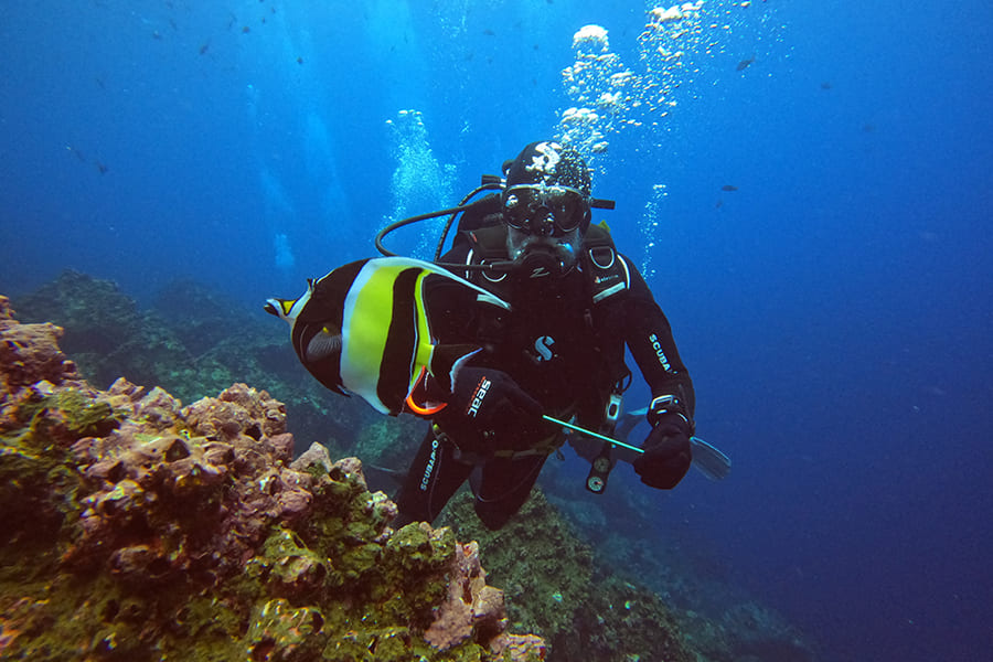 Galaxy Diver II - Galapagos Islands