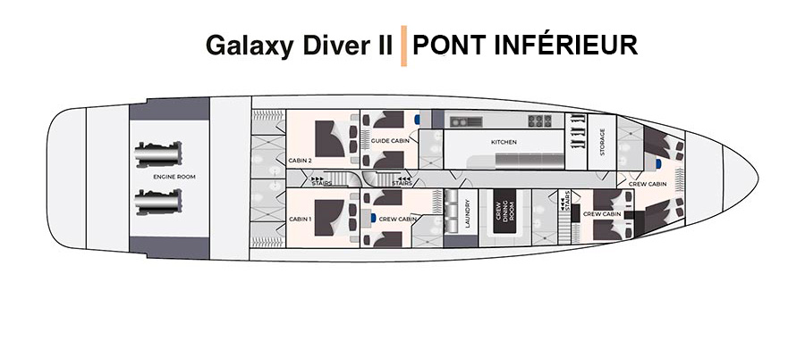 Solarium et Pont Supérieur - Galaxy Diver II 