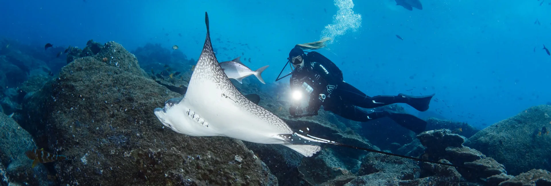 Buzo fotografiando una mantarraya